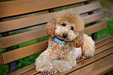 NetherRealm工作室发推暗示《真人快打12》